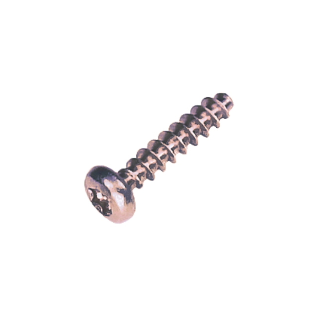 Pt screw 40X18 T20
