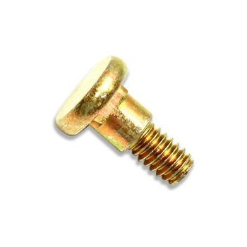 Screw 5321856-00