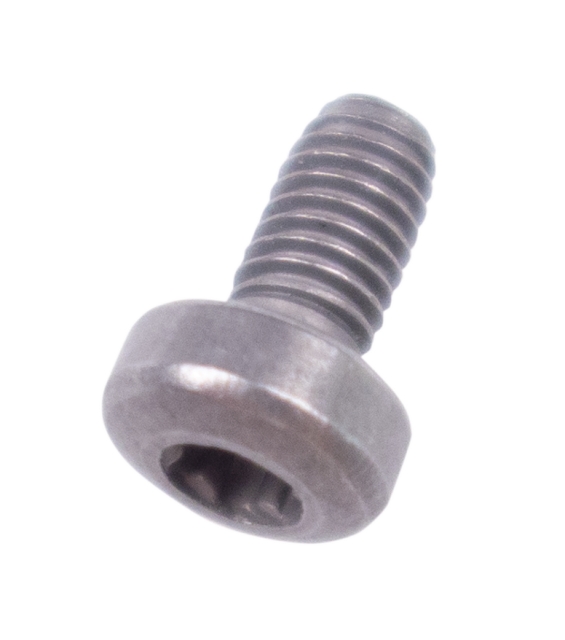 Screw 30x6