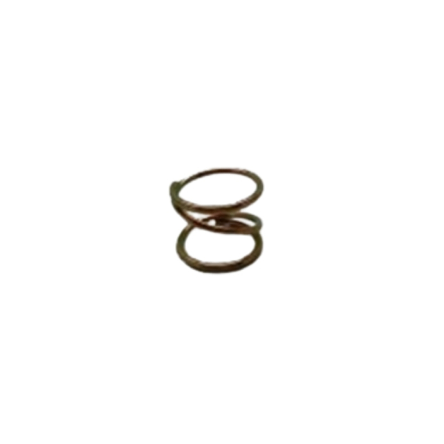 Caster spring