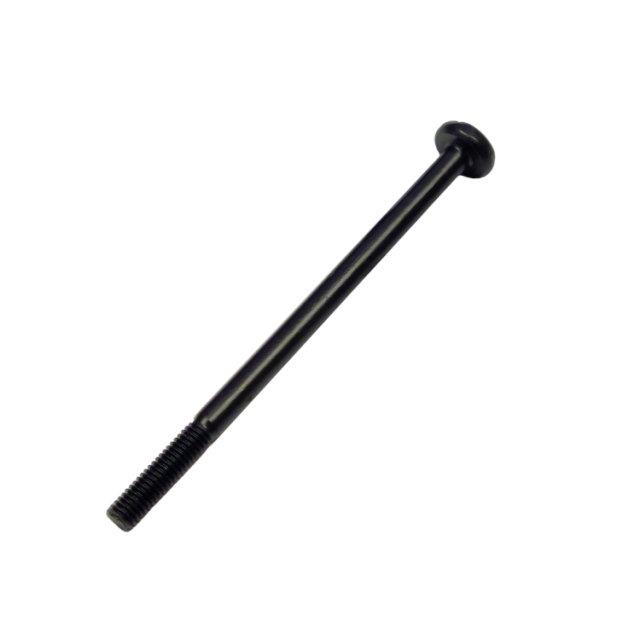 Screw 5747299-01