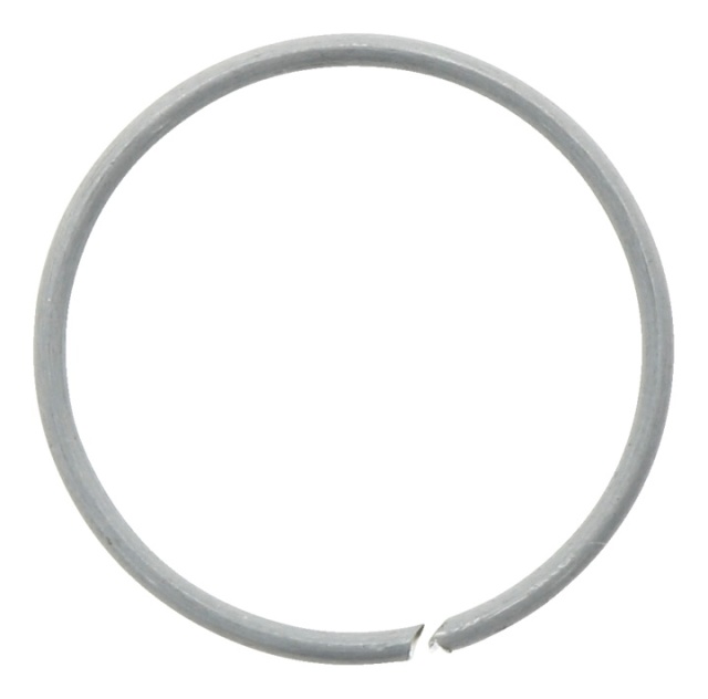 Lock Springs 5764759-01