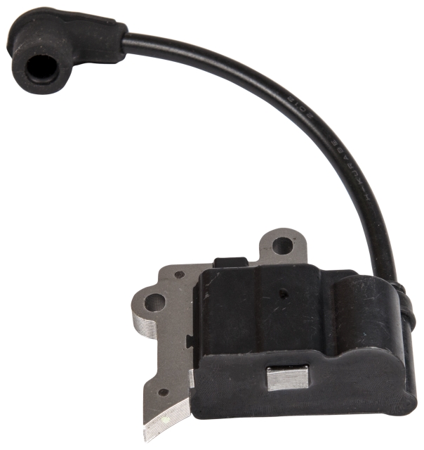 Ignition module
