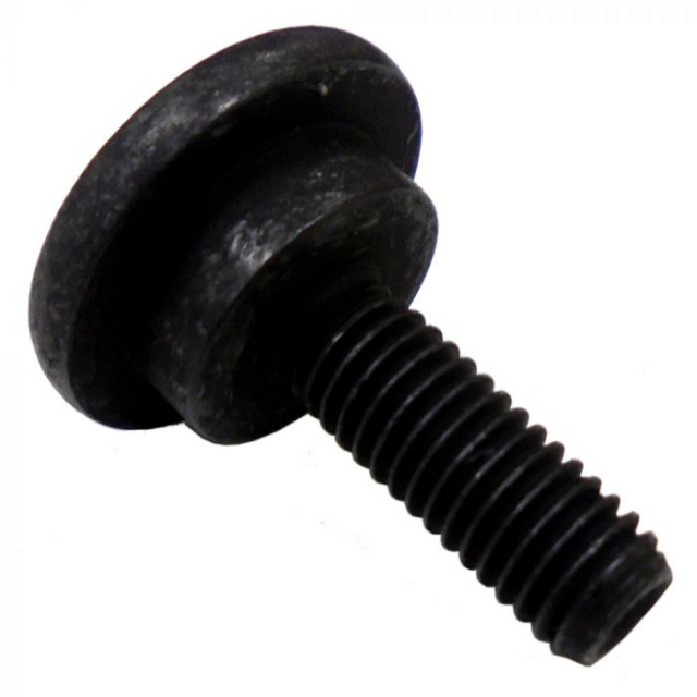 Screw 5778236-01