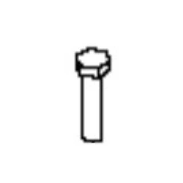 Pin screw