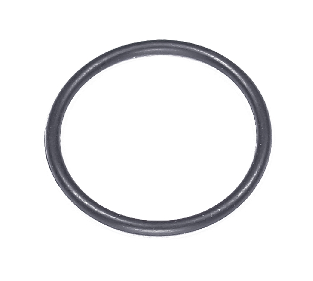 O-Ring 5784701-01