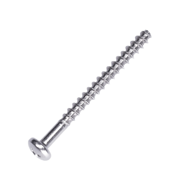 Screw 5787621-01