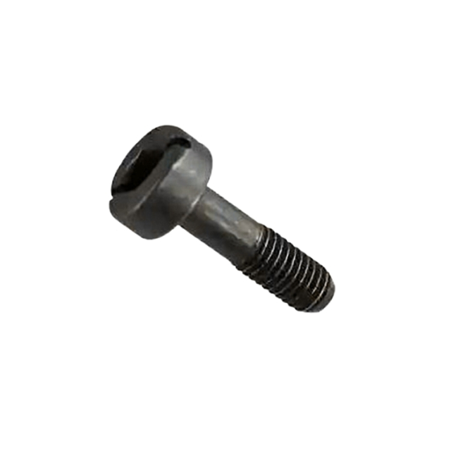 Screw 5844105-01