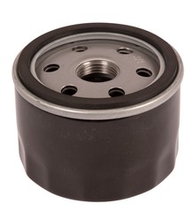 Oil Filter B&S 696854 5857304-01
