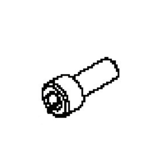 Screw