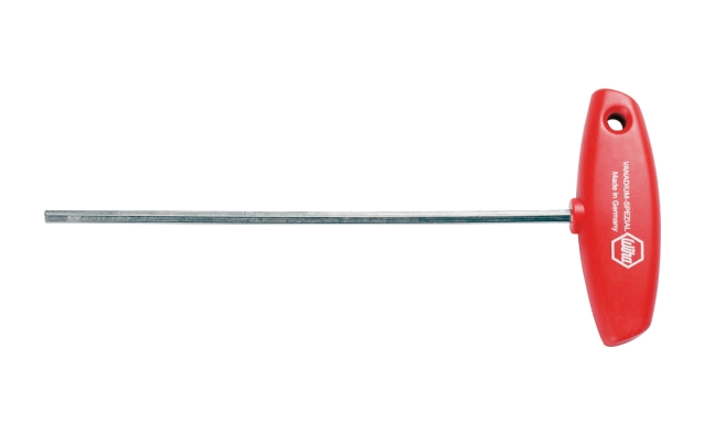 Torx chisel T20