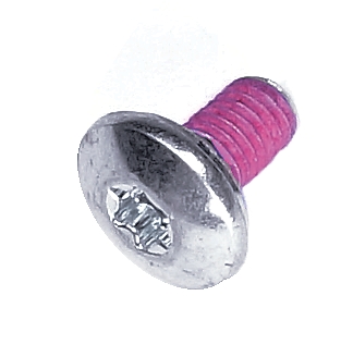 Screw 5889329-01