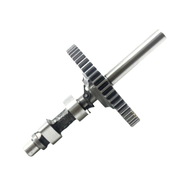 Camshaft B&S 695285 5896698-63