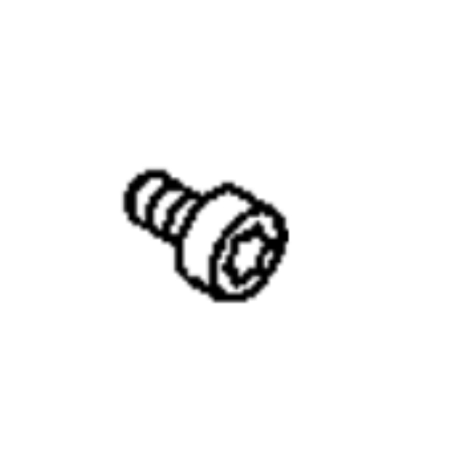 Screw Internal Torx Head M 6 X 5913770-01