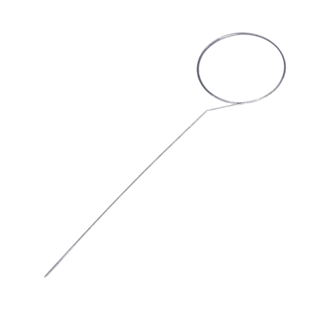 Cleaning needle
