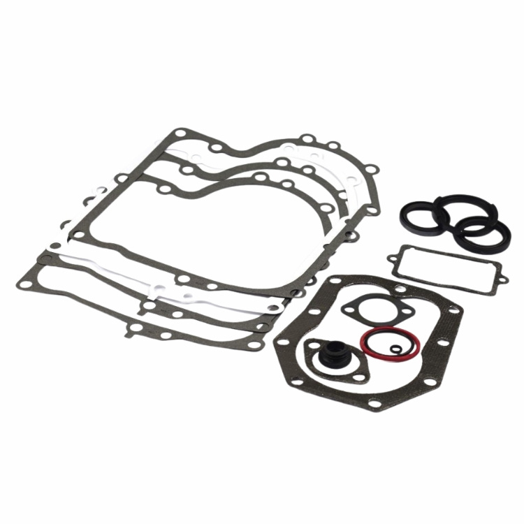 Gasket Kit 494241