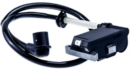 Ignition module 5028464-01