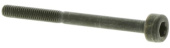 Screw Screw