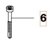 Screw Screw