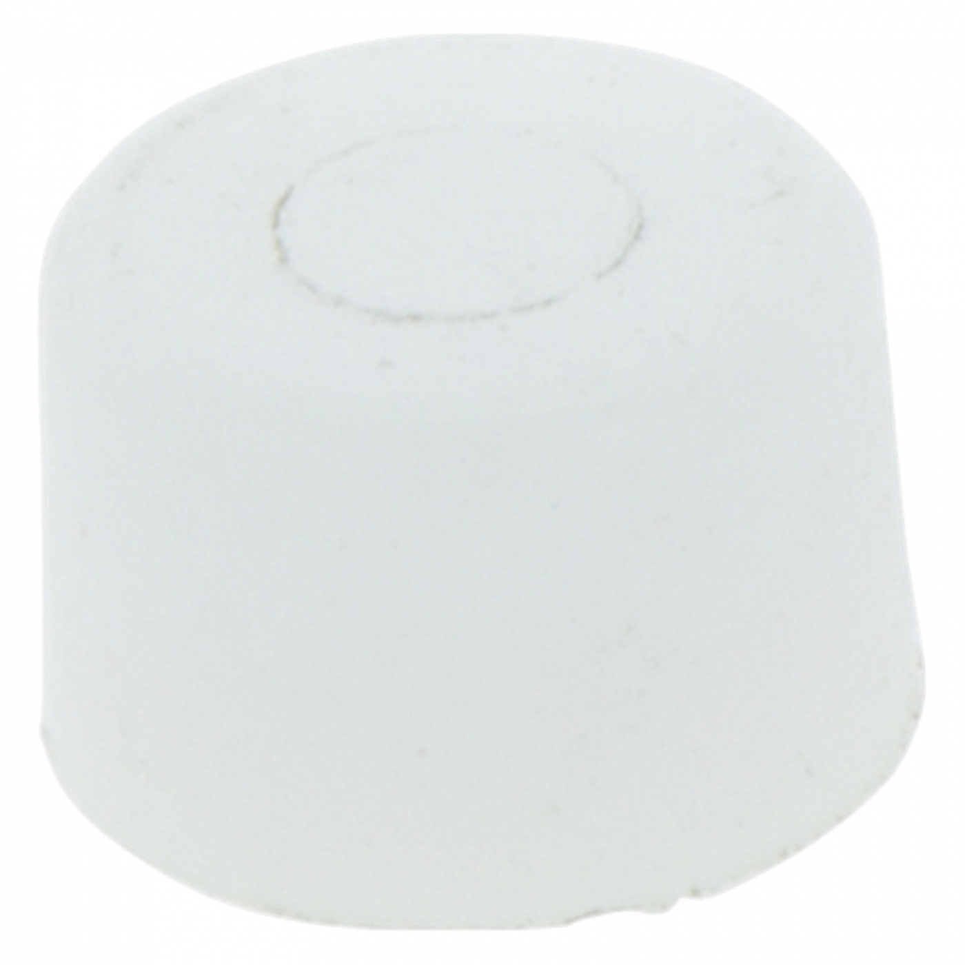 Sealing Plug 5036249-01