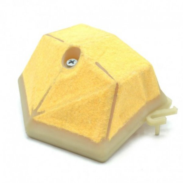 Air Filter 5038981-01