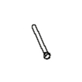 Screw Screw