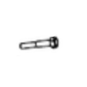 Screw Screw