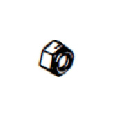 Nut Nut