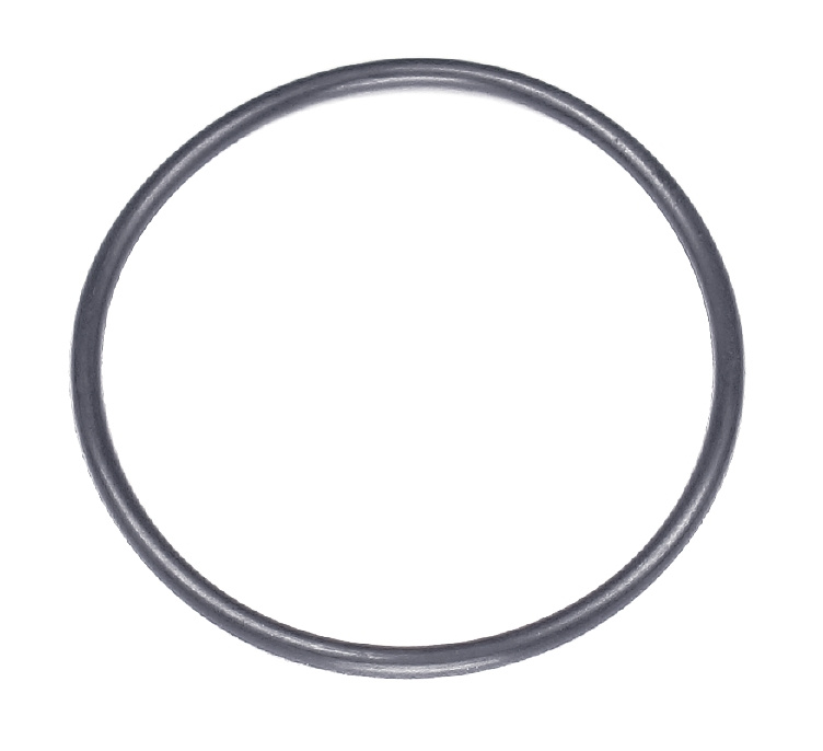 O-Ring 48.9X2.62 5203417-01