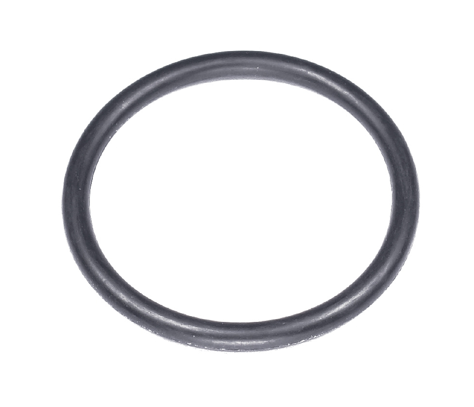 O-Ring 53.4X5.1 5203927-01