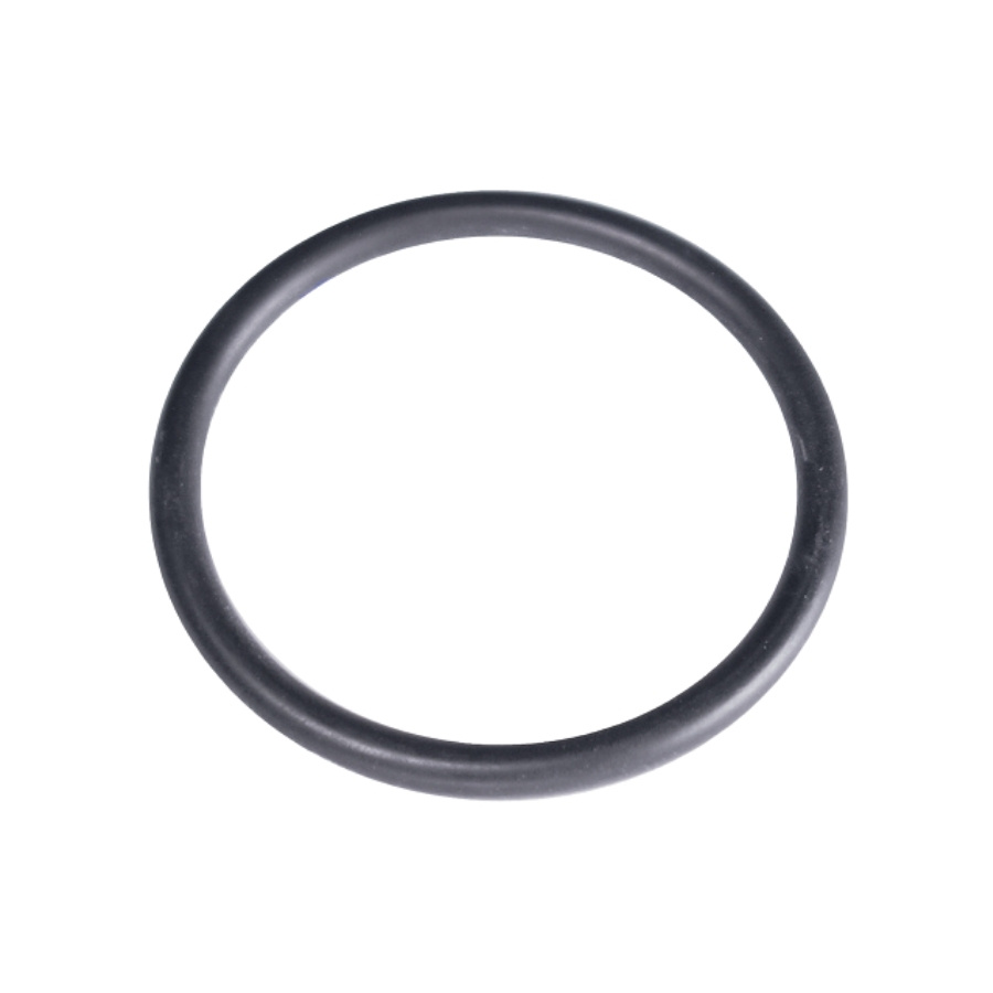 O-ring 1