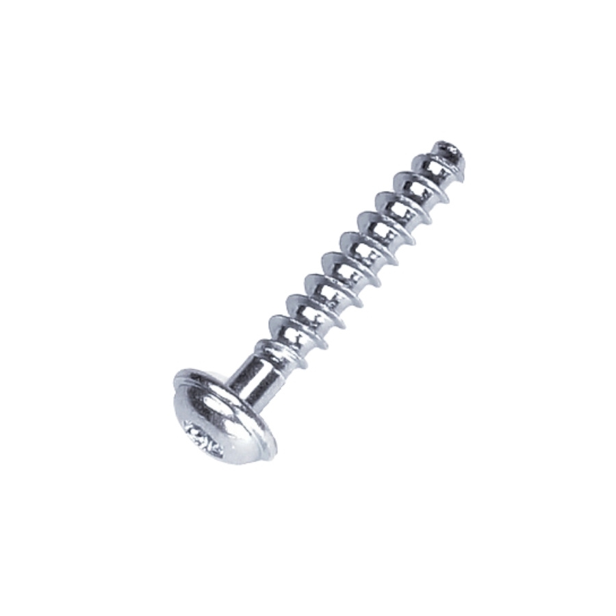 Screw T50X28 5205247-01