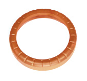 Tree ring Tree ring