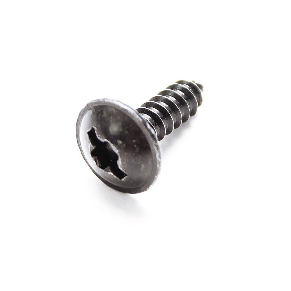 Screw 5321418-41