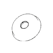 Protection Protection