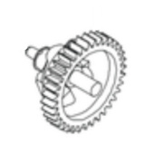 Governor gear Governor gear