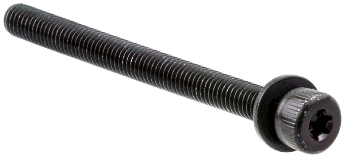 Screw