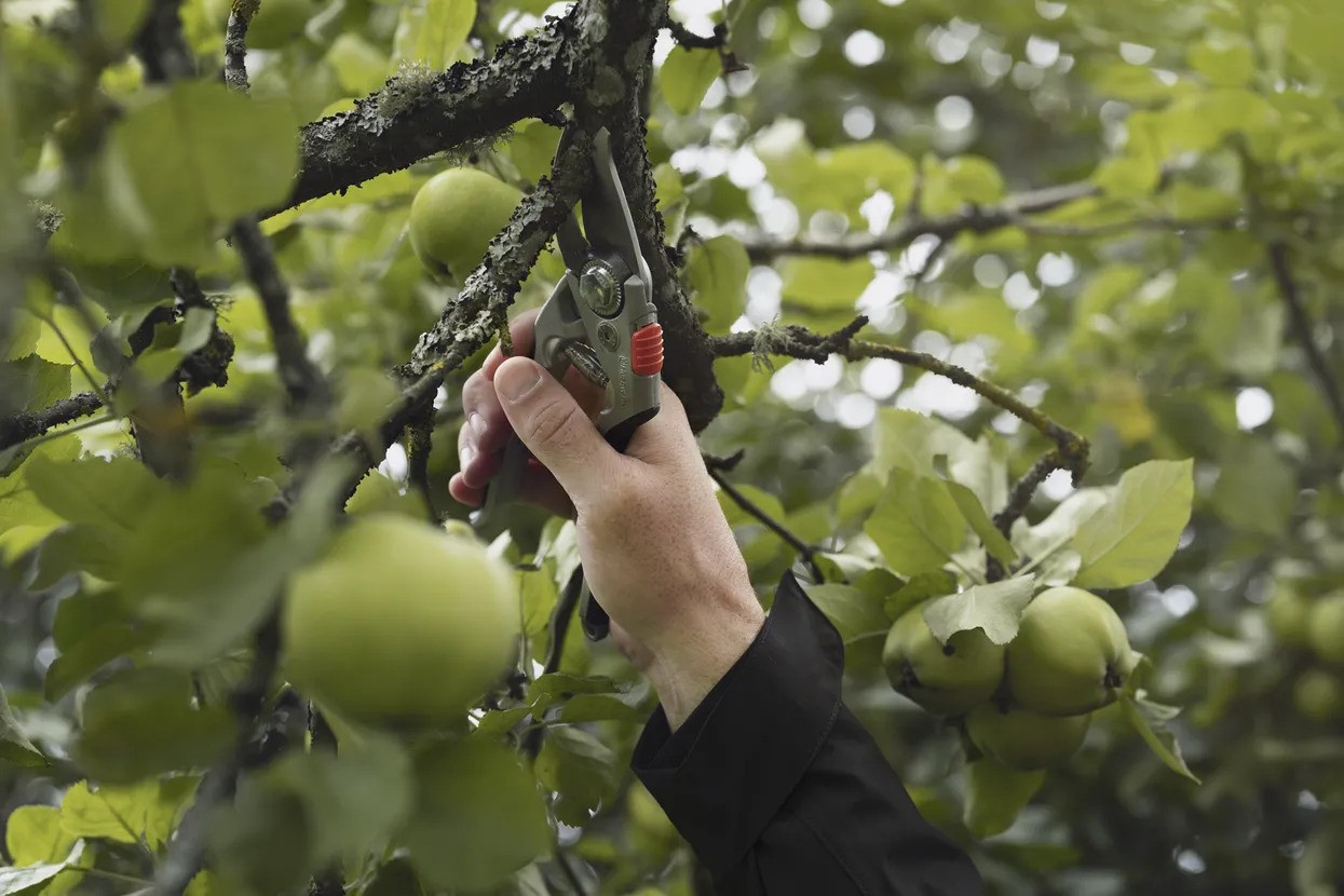 Husqvarna Secateur Large