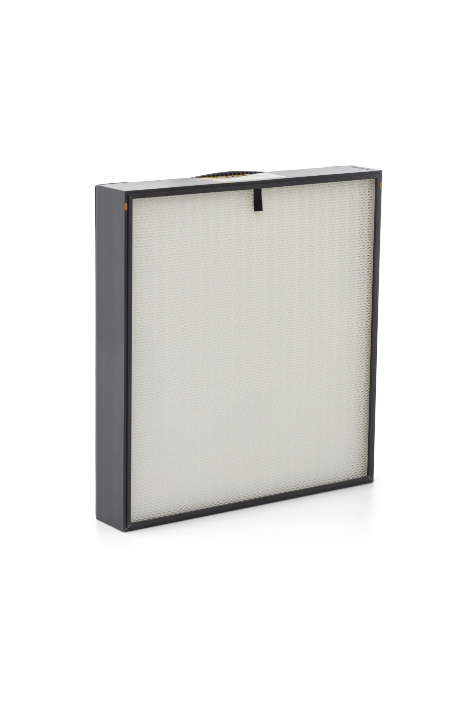 Air filter h13 essential filter a 100
