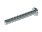 Screw Screw