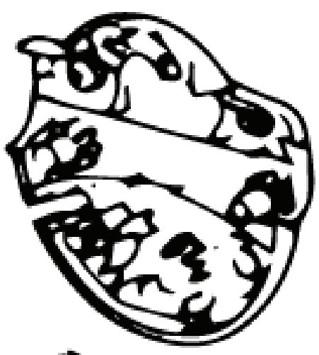 Switchbox Lower (Euro 5746268-01