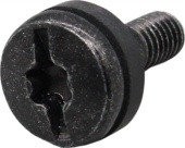 Screw Screw