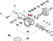 Plate 5762659-01 Plate 5762659-01
