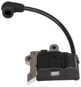 Ignition module Ignition module