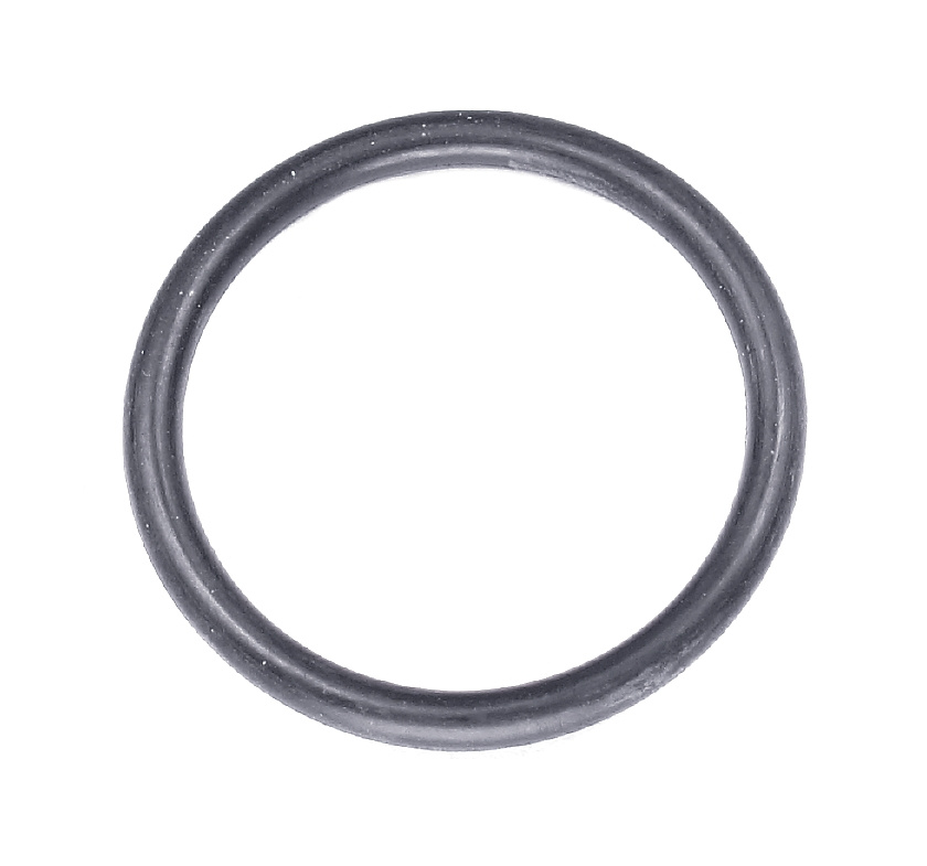 O-Ring 5790921-01