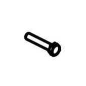 Screw Screw