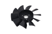 Fan Fan