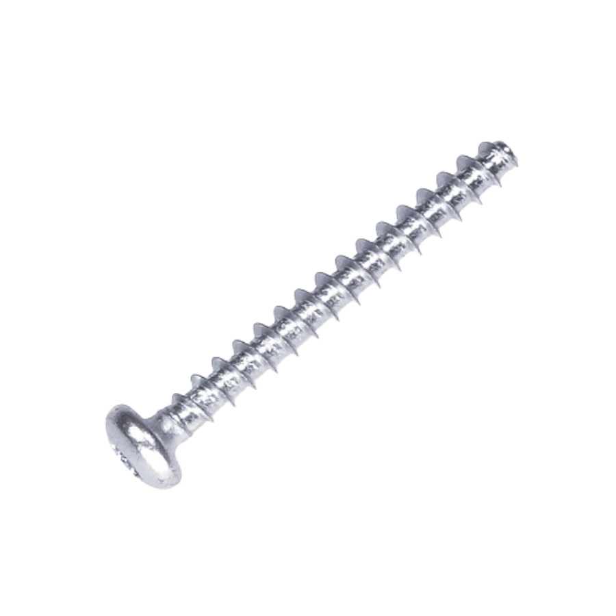 Screw 5866792-01