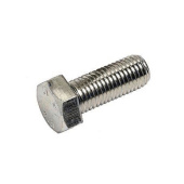 Screw Screw