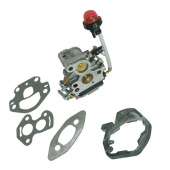 Carburetor Repair Kit 5876097-01